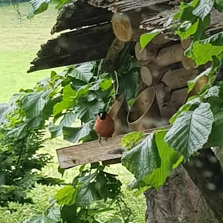 Na Piotrowickiej Przeleczy Фермерский дом *