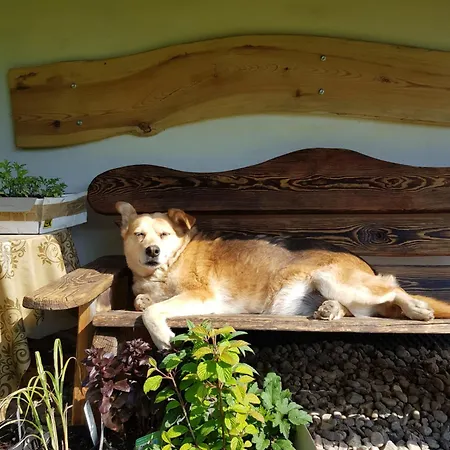 Na Piotrowickiej Przeleczy *