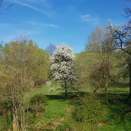 Na Piotrowickiej Przeleczy *