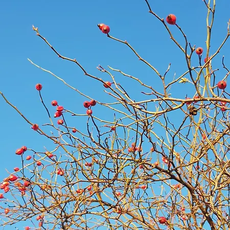 Фермерский дом Na Piotrowickiej Przeleczy