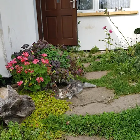 Na Piotrowickiej Przeleczy Фермерский дом Быстшица-Клодзкая