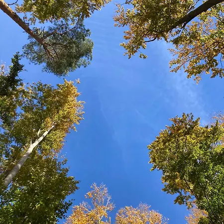 Na Piotrowickiej Przeleczy Фермерский дом *