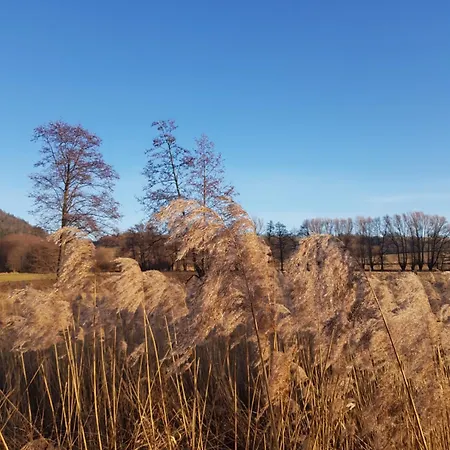 Фермерский дом Na Piotrowickiej Przeleczy Быстшица-Клодзкая