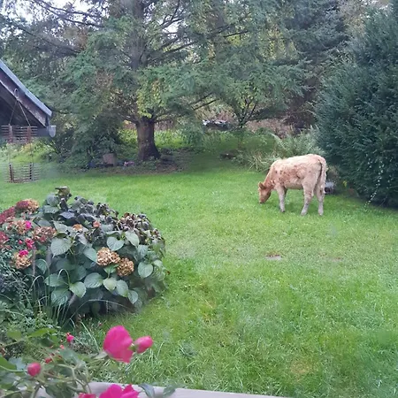 Na Piotrowickiej Przeleczy Фермерский дом