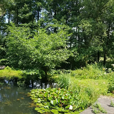 Na Piotrowickiej Przeleczy