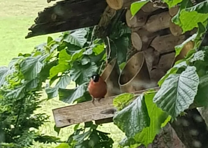 Na Piotrowickiej Przeleczy Фермерский дом *