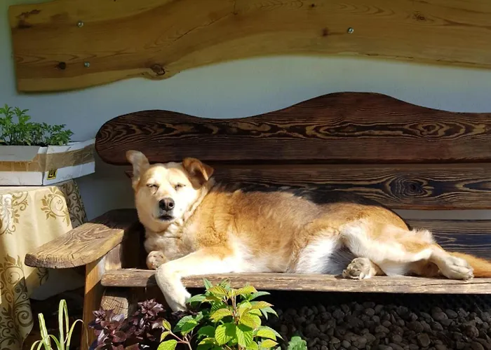 Na Piotrowickiej Przeleczy *