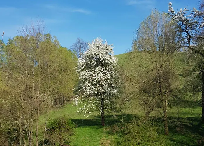 Na Piotrowickiej Przeleczy *