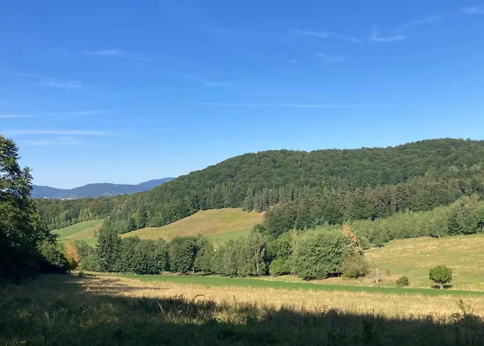 Na Piotrowickiej Przeleczy *