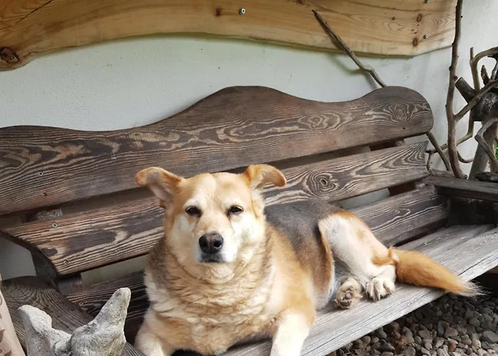 Na Piotrowickiej Przeleczy Фермерский дом