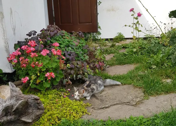 Na Piotrowickiej Przeleczy Фермерский дом Быстшица-Клодзкая