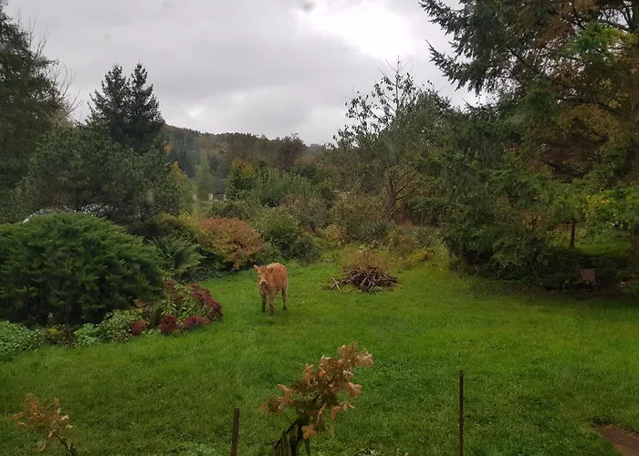 Na Piotrowickiej Przeleczy