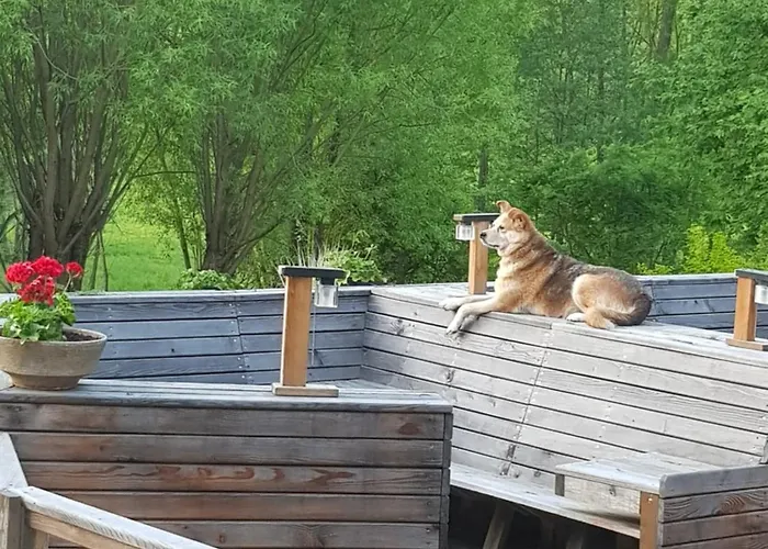 Na Piotrowickiej Przeleczy