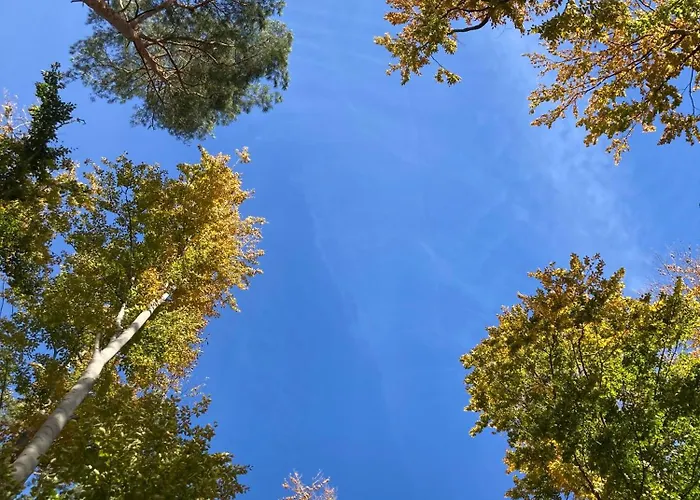 Na Piotrowickiej Przeleczy Фермерский дом *