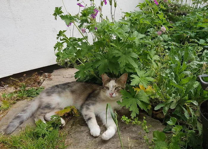 Na Piotrowickiej Przeleczy Фермерский дом Быстшица-Клодзкая