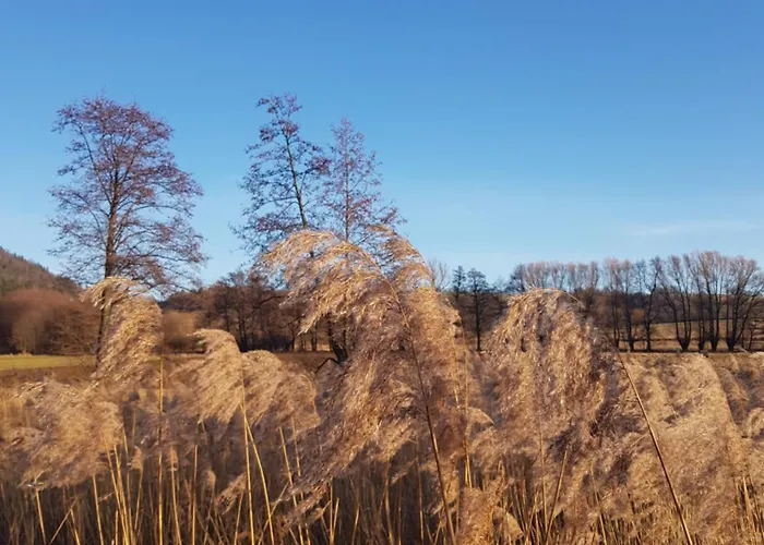 Фермерский дом Na Piotrowickiej Przeleczy Быстшица-Клодзкая