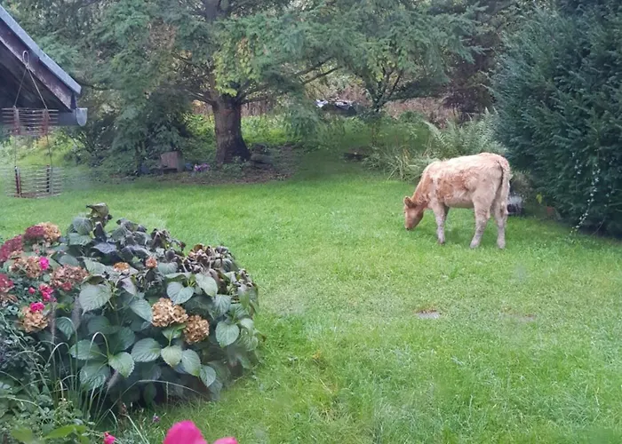 Na Piotrowickiej Przeleczy Фермерский дом