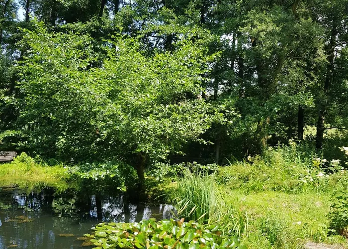 Na Piotrowickiej Przeleczy